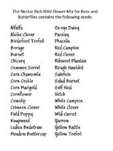 Carica l&#39;immagine nel visualizzatore di Gallery, Twin Pack di Britten and James Wildflower per api e farfalle della RHS... - Ilgrandebazar