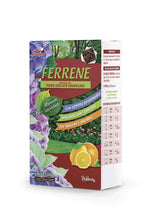 Carica l&#39;immagine nel visualizzatore di Gallery, FERRENE, ferro rinverdente granulare, gr 250, Vitaverde - Ilgrandebazar