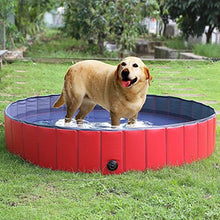 Carica l&#39;immagine nel visualizzatore di Gallery, Femor Piscina per Cani, Gatti, Bagno 160x160x30cm, Rosso