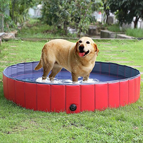 Femor Piscina per Cani, Gatti, Bagno 160x160x30cm, Rosso