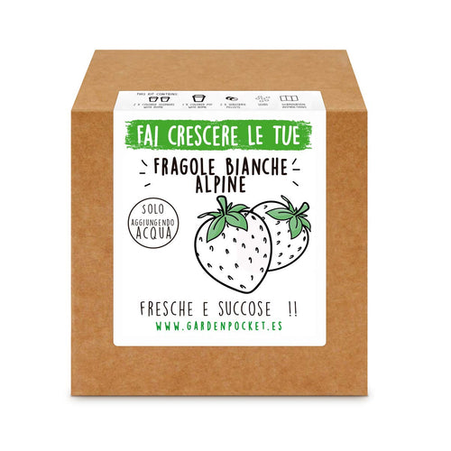 Garden Pocket - Fai crescere le tue FRAGOLE BIANCHE - Kit di germinazione