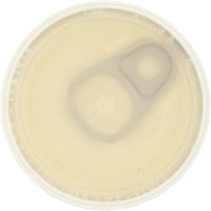 Caputo Lievito Secco 100% Italiano, 100 g