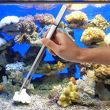 Carica l'immagine nel visualizzatore di Gallery, Signstek 5 in 1 acciaio inox carro armato piante acquatiche 5 1 - Ilgrandebazar