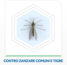 Carica l'immagine nel visualizzatore di Gallery, Raid Liquido Ricarica, Antizanzare Elettrico Inodore, Confezione da 2 Ricariche x 32 ml, 120 Notti