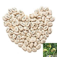 Carica l&#39;immagine nel visualizzatore di Gallery, J&amp;J Confezione da 20 Semi Fagiolo magico fagioli magici idea regalo... - Ilgrandebazar
