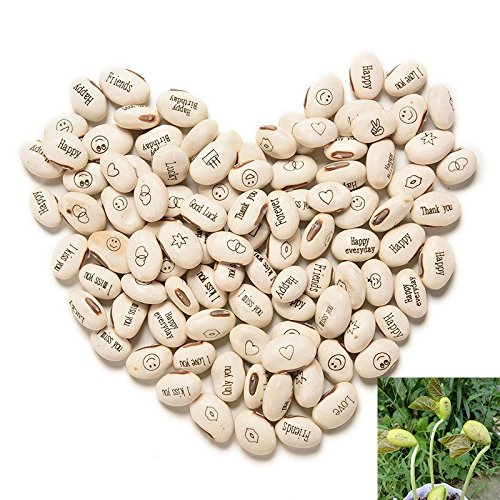 J&J Confezione da 20 Semi Fagiolo magico fagioli magici idea regalo... - Ilgrandebazar