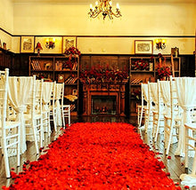 Carica l&#39;immagine nel visualizzatore di Gallery, CHSYOO 1000 x Rose Artificiali Foglie Fiori Confetti, Decorazione Rosso