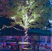 Carica l'immagine nel visualizzatore di Gallery, JP-LED Catena Luminosa Di Luci Led 13M【filo di 100 lampadine 10M e Cavo Di...