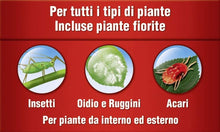 Carica l'immagine nel visualizzatore di Gallery, COMPO Tripla Azione PFnPO, Insetticida-Fungicida-Acaricida pronto all'uso, Per Piante Ornamentali e da Fiore di Tipo Arbustivo ed Erbaceo, 750 ml