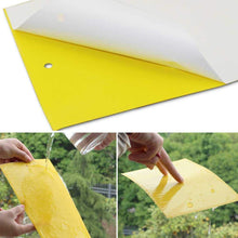 Carica l&#39;immagine nel visualizzatore di Gallery, Ecwin 20 Pezzi Trappola per Mosche Trappole Appiccicose Gialle Plant 20 - Ilgrandebazar