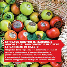 Carica l&#39;immagine nel visualizzatore di Gallery, Albagarden - Calcio Per Pomodori Liquido Concime Orto Nitrato Di Calcio Fertilizzante Piante Cura Del Marciume Apicale Nero Alta Concentrazione Ricco In Magnesio Azoto Potassio Calcio Liquido x 1 Kg