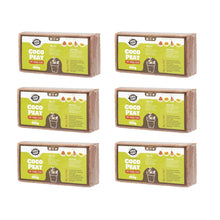 Carica l&#39;immagine nel visualizzatore di Gallery, 6 x 650g (9L) di fibra cocco | Cocco Fiori Terra sorgente | Marrone - Ilgrandebazar