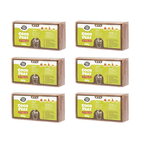 6 x 650g (9L) di fibra cocco | Cocco Fiori Terra sorgente | Marrone - Ilgrandebazar