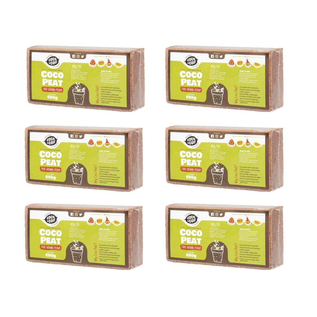 6 x 650g (9L) di fibra cocco | Cocco Fiori Terra sorgente | Marrone - Ilgrandebazar