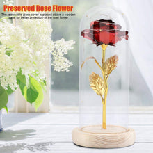 Carica l&#39;immagine nel visualizzatore di Gallery, Duokon Luce a LED Fiore Rosa conservata con Coperchio in Vetro e Base Rosso - Ilgrandebazar