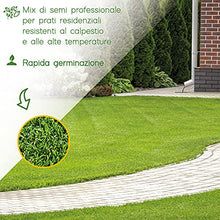 Carica l&#39;immagine nel visualizzatore di Gallery, AGRI-CULTURA Diamante - Semi prato 1 Kg - Semi erba prato resistenti alla siccità ,adatti a tutti i terreni e luoghi [Ideale per tappeti erbosi sportivi ed ornamentali]