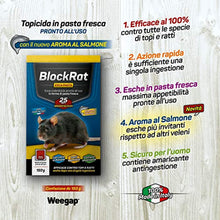 Carica l&#39;immagine nel visualizzatore di Gallery, 1