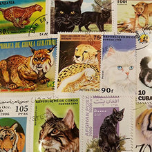Carica l&#39;immagine nel visualizzatore di Gallery, Worldwide Cats Collection Wild / Lions / Pet 100 Different Stamps!...