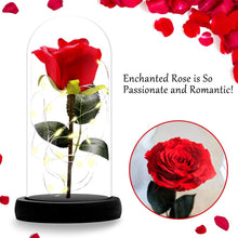 Carica l&#39;immagine nel visualizzatore di Gallery, ASANMU Kit di Rose La Bella e Bestia, Petali Rosa Elegante Cupola di... - Ilgrandebazar