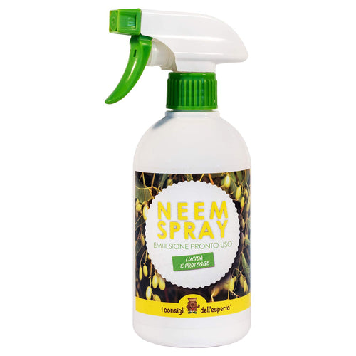 I Consigli Dell'Esperto Spray Olio di Neem Pronto all'Uso - Ilgrandebazar
