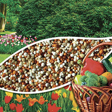 Carica l&#39;immagine nel visualizzatore di Gallery, VIGORPRATO UNIVERSALE, concime per prati tutto l&#39;anno, kg 5, Vitaverde