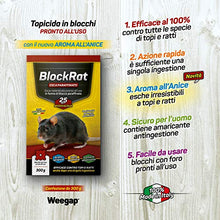 Carica l'immagine nel visualizzatore di Gallery, Veleno per Topi e Ratti, Esca Topicida Ratticida Professionale Potente, Novità Aroma all'Anice, Uso Esterno Interno Casa, Disinfestazione Rimedi Eliminare Roditori Azione Forte BlockRat - 300 g