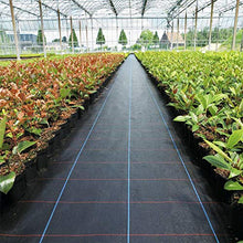 Carica l&#39;immagine nel visualizzatore di Gallery, FIXKIT Tessuto Non Anti Erbacce, 2m x 10m, Peso 100 g/m² Telo 2×10m