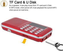 Carica l&#39;immagine nel visualizzatore di Gallery, docooler Radio Altoparlanti Portatili Radio Portabile con Display LCD Supporto Lettore U Disco e Micro SD Card AUX MP3 Support USB Drive TF Card AUX-in Earphone-out