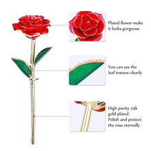 Carica l&#39;immagine nel visualizzatore di Gallery, ETEREAUTY 24K Rosa Placcato Oro, Regalo con a Forma di Cuore &amp; Rosso - Ilgrandebazar