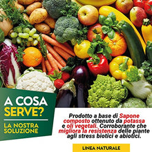Carica l'immagine nel visualizzatore di Gallery, Albagarden - Sapone Molle di Potassio x 1 Litro - Corroborante Naturale Effetto Insetticida Piante Bio - Potenzia Le Difese Delle Piante Da Insetti Cocciniglia Pidocchi Ragnetto Rosso Cimici Spray