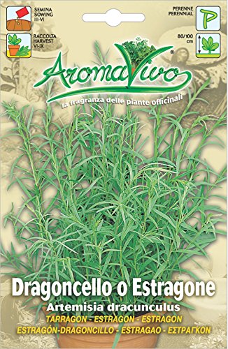 Hortus 61ARO0115 Aromavivo Dragoncello o Estragone, 13x0.2x20 cm - Ilgrandebazar