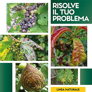 Albagarden - Bicarbonato Di Potassio Bio Per Agricoltura Naturale E Piante - Disacidan Effetto Fungicida Contro Oidio Muffa Grigia Peronospora Monilia Ticchiolatura Bolla Del Pesco Marciume X 250 Gr