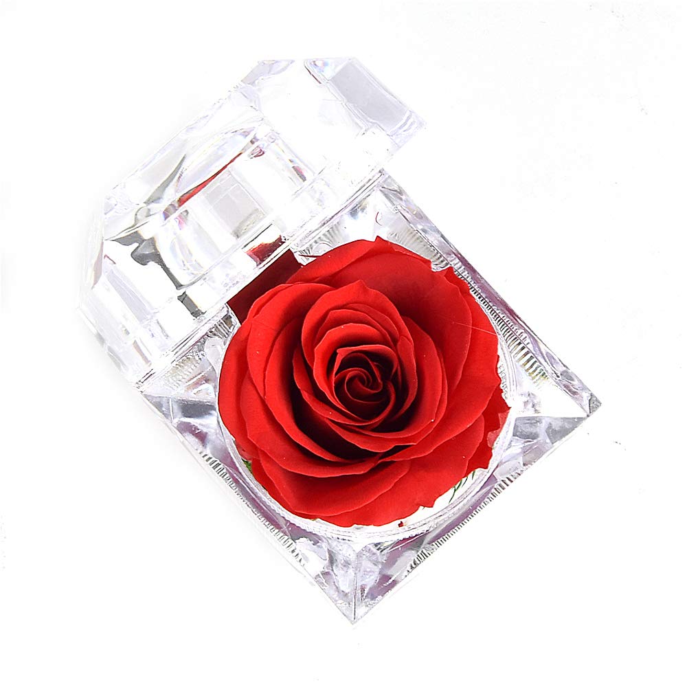 Luoistu Regalo San Valentino per lei Fiore Roses, Rose mai appassite in Red - Ilgrandebazar