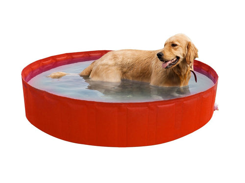 New Plast My Dog Pool Ø 140 cm Piscina per Cani, Ø 140 h 30cm, Arancione