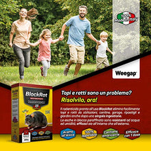 Carica l&#39;immagine nel visualizzatore di Gallery, Veleno per Topi e Ratti, Esca Topicida Ratticida Professionale Potente,...