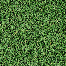 Carica l'immagine nel visualizzatore di Gallery, 5