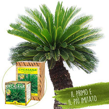 Carica l&#39;immagine nel visualizzatore di Gallery, I Consigli Dell&#39;Esperto Cycasana Concime Specifico per Cycas