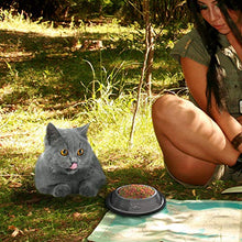 Carica l'immagine nel visualizzatore di Gallery, 3 Pezzi Ciotole Gatto, Piotola Cibo in Acciaio Inox Antiscivolo per...