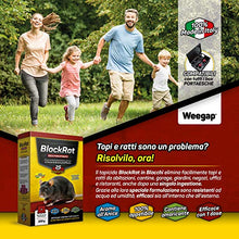 Carica l'immagine nel visualizzatore di Gallery, Veleno per Topi e Ratti, Esca Topicida Ratticida Professionale Potente, Novità Aroma all'Anice, Uso Esterno Interno Casa, Disinfestazione Rimedi Eliminare Roditori Azione Forte BlockRat - 300 g