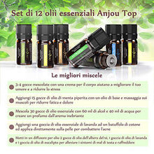 Carica l&#39;immagine nel visualizzatore di Gallery, Anjou Olio Essenziale Set di 12 per Aromaterapia, Oli Essenziali Puri 12x5ml - Ilgrandebazar