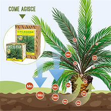 Carica l&#39;immagine nel visualizzatore di Gallery, I Consigli Dell&#39;Esperto Cycasana Concime Specifico per Cycas