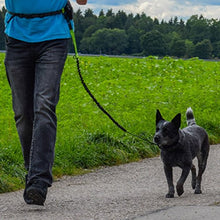 Carica l&#39;immagine nel visualizzatore di Gallery, Hundefreund Guinzaglio da Jogging per Cani di Piccola Taglia Fino a 15 kg |... - Ilgrandebazar