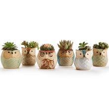 Carica l&#39;immagine nel visualizzatore di Gallery, SUN-E 6.35 cm Gufo vaso ceramica smaltata Base Set Succulente Vaso per... - Ilgrandebazar