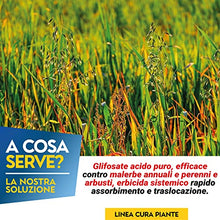 Carica l&#39;immagine nel visualizzatore di Gallery, Albagarden - Diserbante Totale Glifosate Gliphogan Top Erbicida Per Diserbo Erbacce Ad Azione Disseccante Seccatutto Disserbante Per Gramigna A Base di Glifosato Glyphosate Libera Vendita x 500 Ml