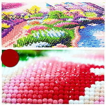 Carica l'immagine nel visualizzatore di Gallery, DCIDBEI DIY Pittura Diamante Kit,Painting by Numbers La Bella e la...