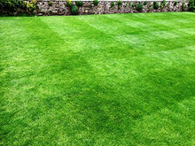 Carica l&#39;immagine nel visualizzatore di Gallery, 1kg Semi di erba da giardino Alta Qualità per 35mq – Crescita rapida e...