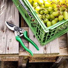 Carica l'immagine nel visualizzatore di Gallery, Forbici e Cesoie per Potatura Giardino Professionali FALCO GRÜNTEK 215 mm