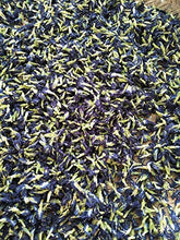 Carica l&#39;immagine nel visualizzatore di Gallery, Blue Butterfly Pea Flowers (Clitoria Ternatea/Anchan) - Magic Colour...