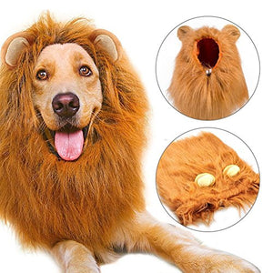 Etpark Cane Pet Costume, Grande Medio Regolabile Parrucca leone