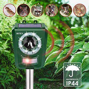 INTEY RichYa Repellente Gatti Ultrasuoni Solare, per Allontanare Cani, Gatti,...